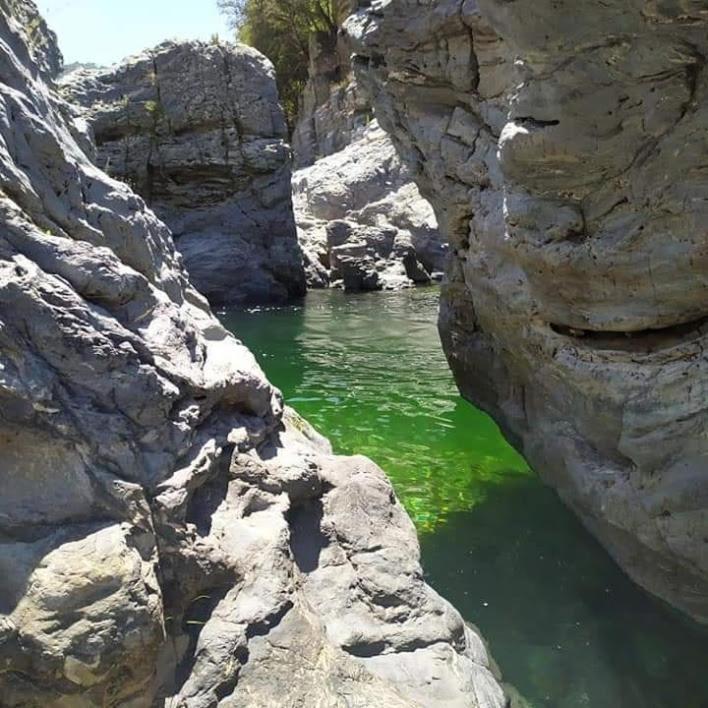 Sa Stiddiosa Guesthouse Gadoni المظهر الخارجي الصورة